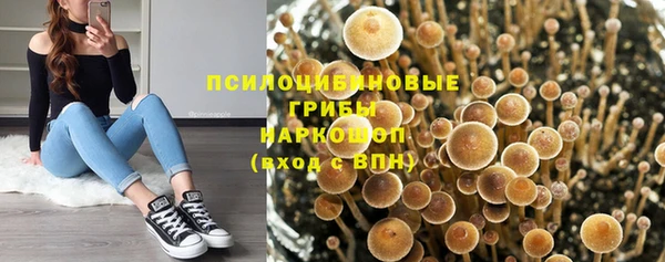 spice Алексин