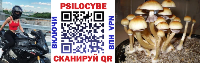 Псилоцибиновые грибы мухоморы  Ардатов 